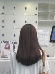-YESIDO椰岛造型