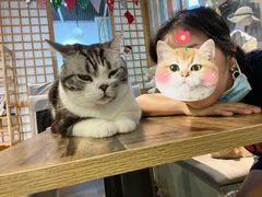 -小时光咖啡馆(开森度假森林店)