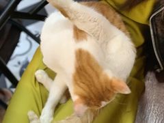-牛纽塔·牛人堡(群众路店)