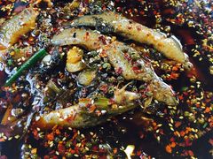 -情妹妹干锅锅(中海国际购物公园店)