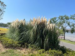 -上海山野camping·户外天幕烧烤·团建拓展营地