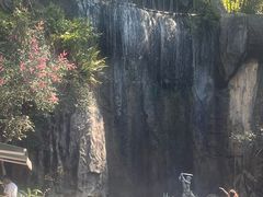 -西双版纳原始森林公园