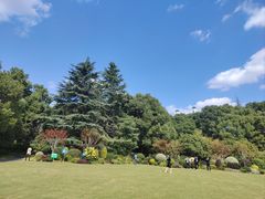 -老房子·南昌菜(绿地店)