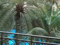 -星河湾半岛酒店-真粤中餐厅