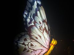 -湖州太湖旅游度假区-月亮广场