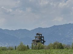 -野鸭湖国家湿地公园