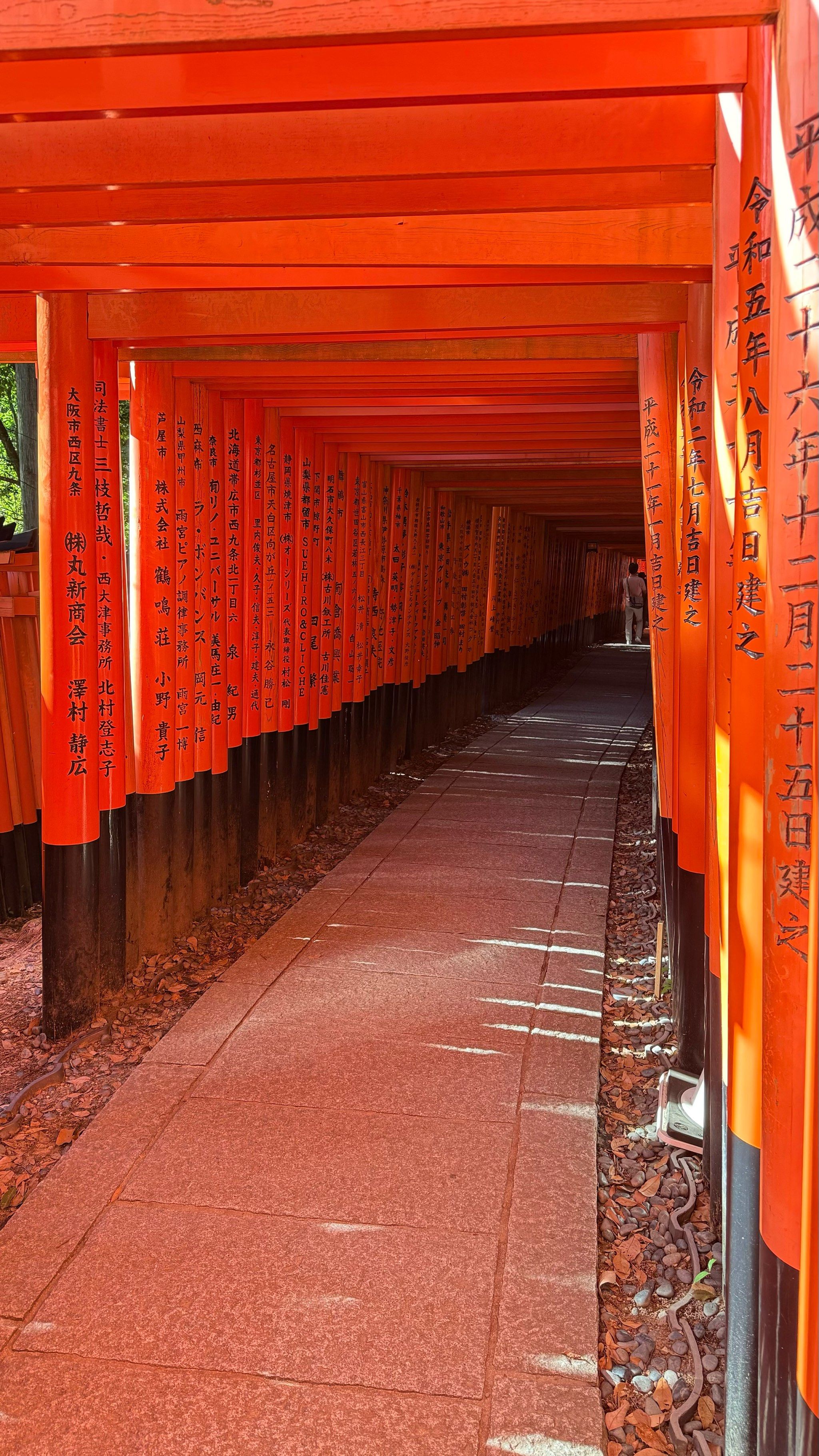 日本京都拜神,伏见稻荷大社(神社)