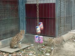 -石家庄市动物园