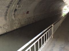 -白水寺森林公园