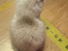 -剧狐剧本杀·月球探案馆(人民广场1号店)