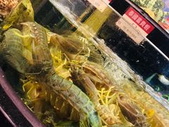 -陶陶居海鲜酒家(新马路店)