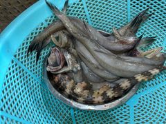 -湛江海滨宾馆-醉海楼