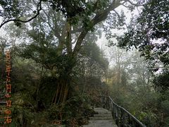 -祁门牯牛降观音堂风景区