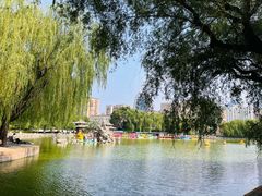 -团结湖公园