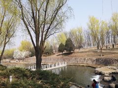 -青龙湖公园