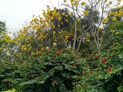 -云溪植物园