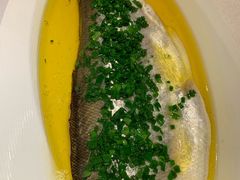 葱油蒸白水鱼-玫瑰厅上海菜(兴国路店)