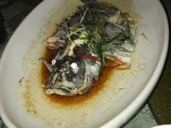 -外沙疍家棚酒楼