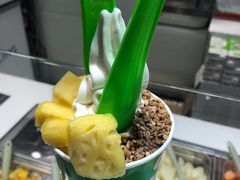 -Salud撒露欧洲冻酸奶(蓝色港湾店)