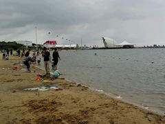 -碧海金沙