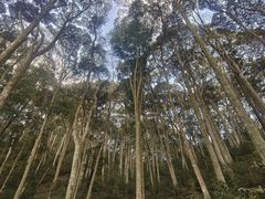 -福建土楼(南靖)景区
