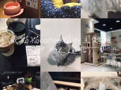 -藏猫猫咖啡主题馆(中央大道店)