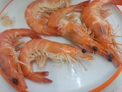 -同心源啤酒屋·青岛菜·海鲜加工