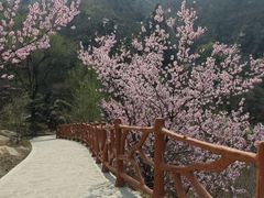 -封龙山风景区