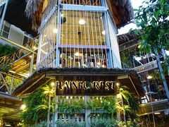 -Rainforest