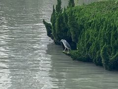 -苏州河梦清园环保主题公园