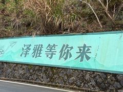 -泽雅七瀑涧景区