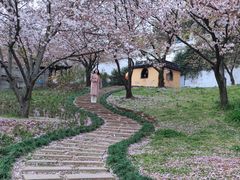 -苏州上方山国家森林公园