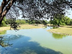 -北京麋鹿生态实验中心