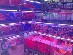 -朝来春花卉市场
