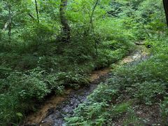 -大青沟风景区