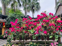 -园林美食城·本土农家菜(杨和镇店)