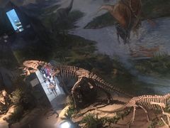 -自贡恐龙博物馆