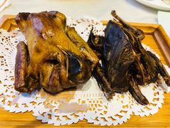 -食家鸽园