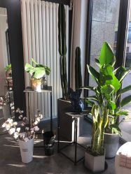 -Priscilla皮肤管理中心