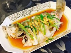 -天鹅到家·保姆月嫂育儿嫂(蔚蓝海岸店)