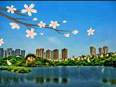 -重庆彩云湖湿地公园
