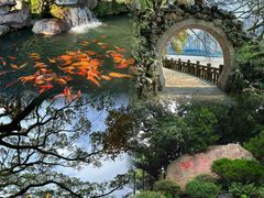 -江心屿景区
