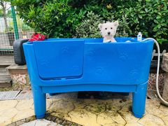 -汪说喵讲宠物乐园宠物酒店(红星美凯龙店)