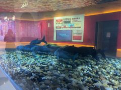 -千岛湖鱼味馆(十字街总店)
