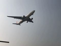 -空港花田景区