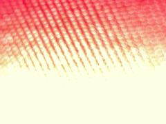 -恒坤北纬42度温泉洗浴(公园路店)