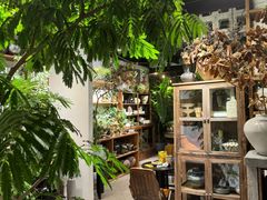 -自由生长植物工作室(深港花卉中心店)