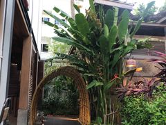 -Naughty Nuri’s Phuket