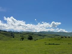 -新疆那拉提国家旅游度假区