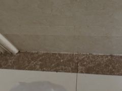 -巢爷老味(东方红店)